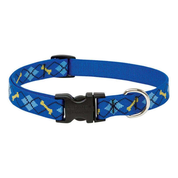 Dapper Dog Collar