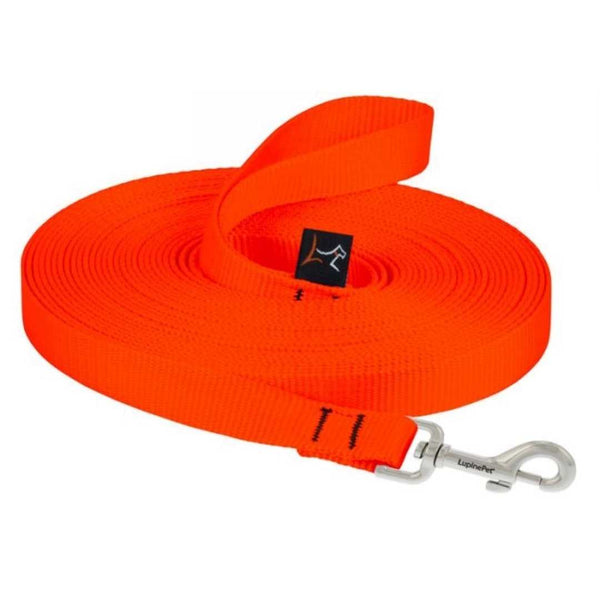 High Visibility Long Leash - Perfect for decompression walks & recall training  - 15 or 30 foot