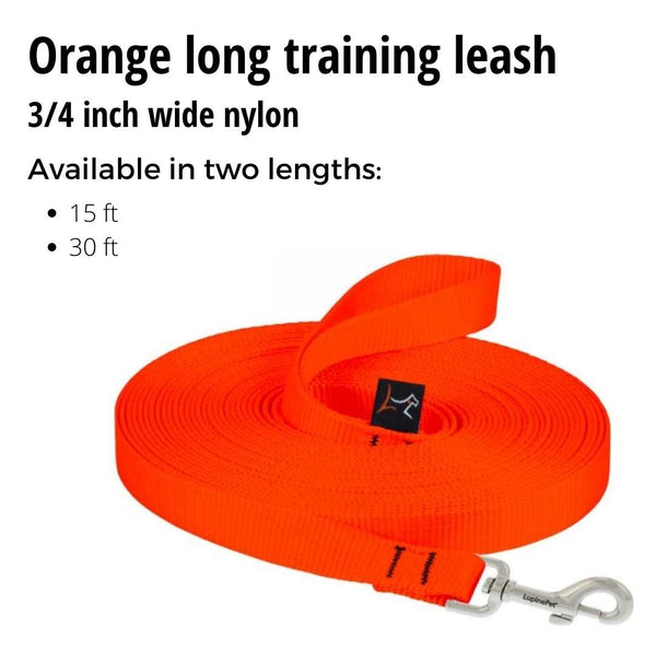 High Visibility Long Leash - Perfect for decompression walks & recall training  - 15 or 30 foot